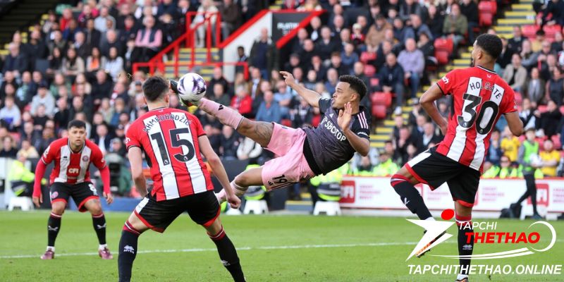 Các lần đối đầu trước Sheffield United vs Fulham