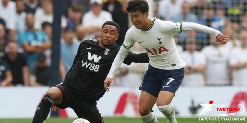 Phong độ gần đây Fulham vs Tottenham