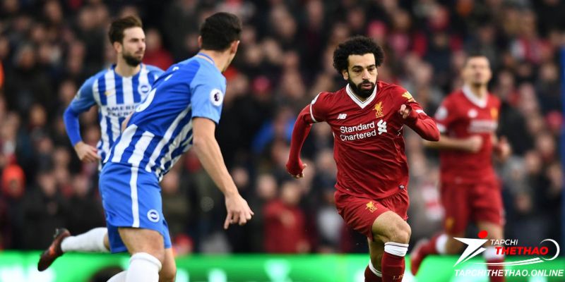 Phong độ gần đây Liverpool vs Brighton & Hove Albion