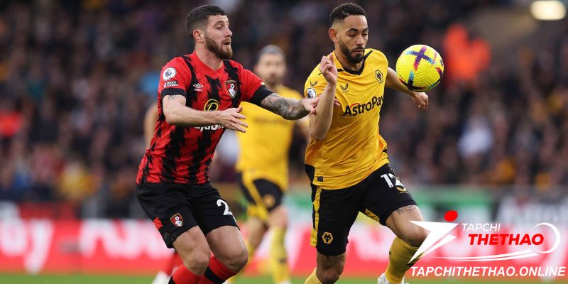 Soi kèo Châu Âu Wolves vs AFC Bournemouth ngày 25 tháng 4