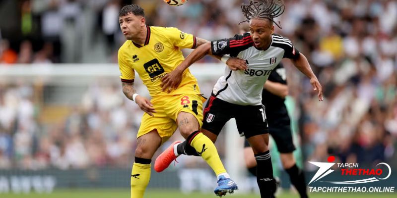 Thông tin trận đấu Sheffield United vs Fulham