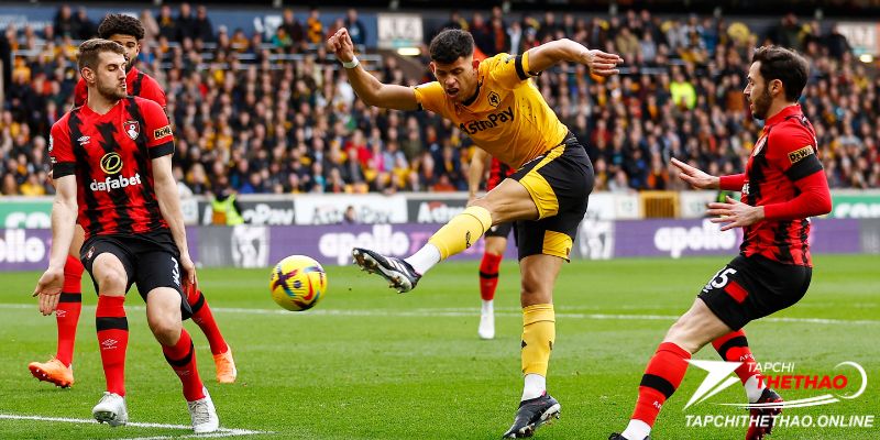 Thông tin trận đấu Wolves vs AFC Bournemouth ngày 25 tháng 4